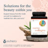 68958c112fa28c51790ec0beff7a3bb81aab70633d6cb5de4973a.jpg Youtheory Marine Collagen - 2,500 mg Hydrolyzed Collagen - Supports Skin* - Fish-Sourced Collagen - with Vitamin C, A, C, E, B6, B12 & More - Highly Digestible and Absorbable - 290 Tablets