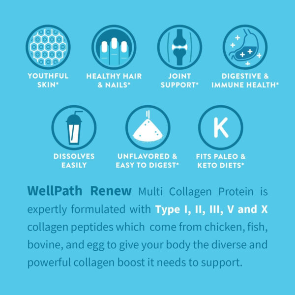 WellPath Renew Multi Collagen Protein Powder for Women | Hair, Nails, Skin | Hydrolyzed Grass-Fed Bovine, Marine, & Chicken Sources Collagen Peptides | Types I, II, III, V, X | 11 oz | 40 Servings
