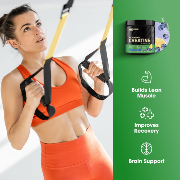 Optimum Nutrition Micronized Creatine Monohydrate Powder, Unflavored, 120 Servings, 600 Grams (Packaging May Vary)