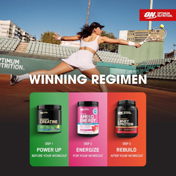 Optimum Nutrition Micronized Creatine Monohydrate Powder, Unflavored, 120 Servings, 600 Grams (Packaging May Vary)