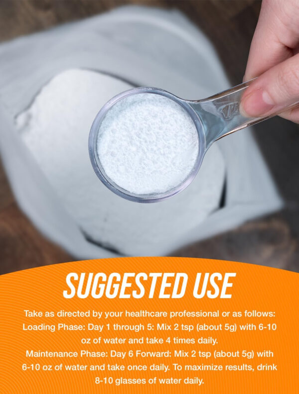 BulkSupplements.com Creatine Monohydrate Powder - Micronized Creatine Powder, Unflavored - Pure & Gluten Free, 5g (5000mg) per Servings, 500g (1.1 lbs) (Pack of 1)