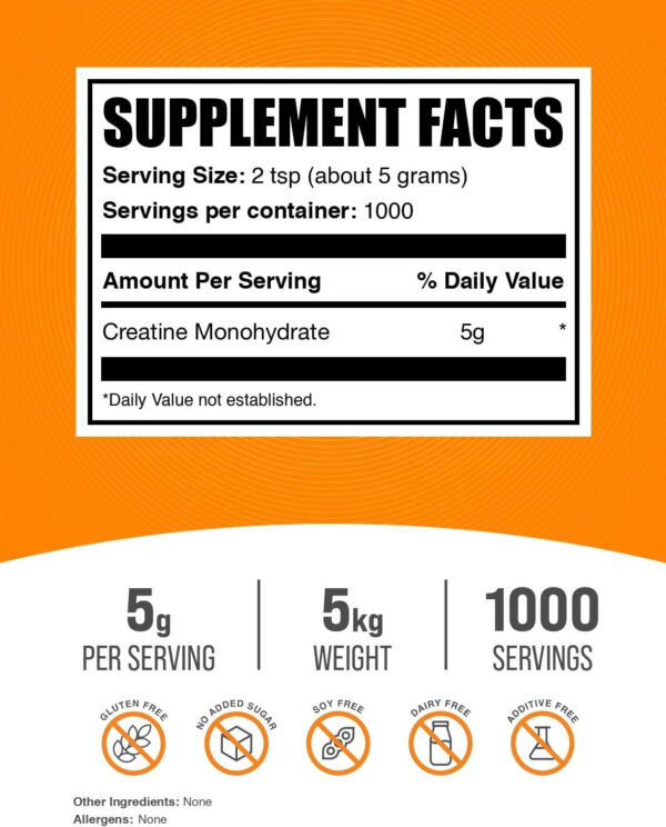 BulkSupplements.com Creatine Monohydrate Powder - Micronized Creatine Powder, Unflavored - Pure & Gluten Free, 5g (5000mg) per Servings, 500g (1.1 lbs) (Pack of 1)