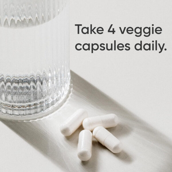 Sports Research Creatine Monohydrate - Gain Lean Muscle, Improve Performance and Strength and Support Workout Recovery - 5 g Micronized Creatine - 1.1LBS