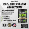 Micronized Creatine Monohydrate Powder - Unflavored and Easy to Mix | Supports Muscle Growth, Recovery, and Strength | 5000mg Per Serv (5g) - 60 Servings