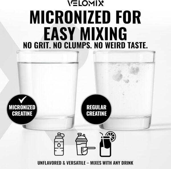 Micronized Creatine Monohydrate Powder - Unflavored and Easy to Mix | Supports Muscle Growth, Recovery, and Strength | 5000mg Per Serv (5g) - 60 Servings