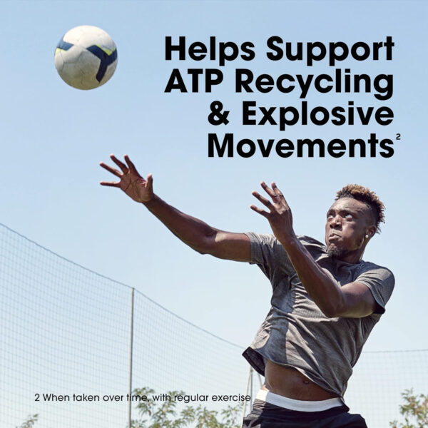 Optimum Nutrition Micronized Creatine Monohydrate Capsules, Keto Friendly, 2500mg, 200 Capsules (Packaging May Vary)