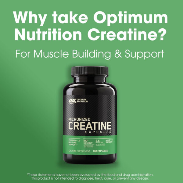 Optimum Nutrition Micronized Creatine Monohydrate Capsules, Keto Friendly, 2500mg, 200 Capsules (Packaging May Vary)