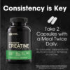 Optimum Nutrition Micronized Creatine Monohydrate Capsules, Keto Friendly, 2500mg, 200 Capsules (Packaging May Vary)