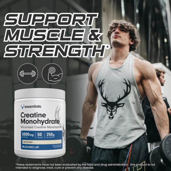 6895a6f072ff84902f29ad638424fb58b7099382d6b5c7796b2d0.jpg Bucked Up Pure Micronized Creatine Monohydrate for Women and Men - Easy to Mix and Unflavored - 5G Per Serving - 50 Servings - 250 Grams Per Container