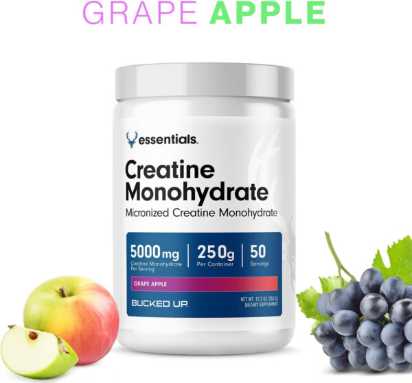 6895a7075c86d5c2d56f36e6681ddd40dc5bba5eca6d388c35463.jpg Bucked Up Pure Micronized Creatine Monohydrate for Women and Men - Easy to Mix and Unflavored - 5G Per Serving - 50 Servings - 250 Grams Per Container