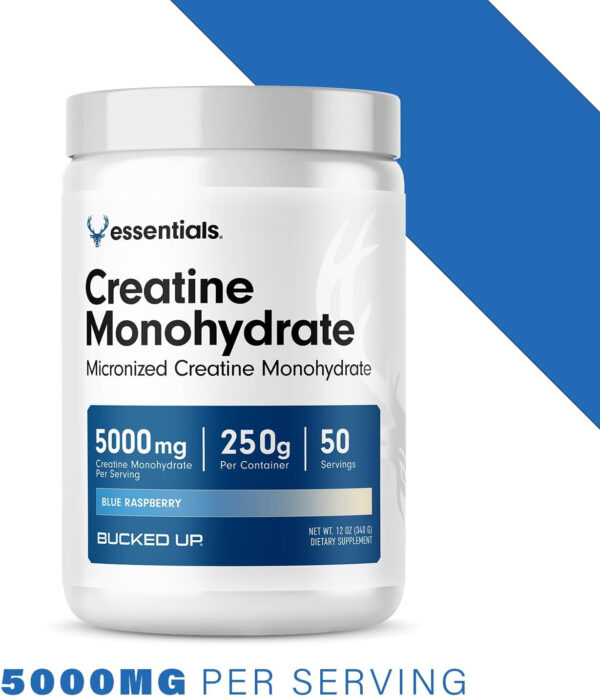 6895a713e6ab8078c1459ce8c766f98b5d0556ec11c19af072312.jpg Bucked Up Pure Micronized Creatine Monohydrate for Women and Men - Easy to Mix and Unflavored - 5G Per Serving - 50 Servings - 250 Grams Per Container