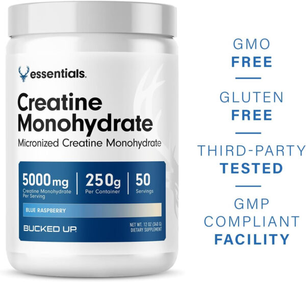 6895a71576fcb98d534201301f2b7ed9cd7fb5bd1e7b649f3d595.jpg Bucked Up Pure Micronized Creatine Monohydrate for Women and Men - Easy to Mix and Unflavored - 5G Per Serving - 50 Servings - 250 Grams Per Container