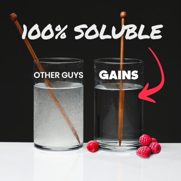 Gains in Bulk Instantized Creatine Monohydrate for Women and Men, Soluble Pre Workout Powder, Supports Muscle Building, Strength and Performance, Bodybuilding Supplements, Unflavored, 100 Servings