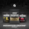 Gains in Bulk Instantized Creatine Monohydrate for Women and Men, Soluble Pre Workout Powder, Supports Muscle Building, Strength and Performance, Bodybuilding Supplements, Unflavored, 100 Servings
