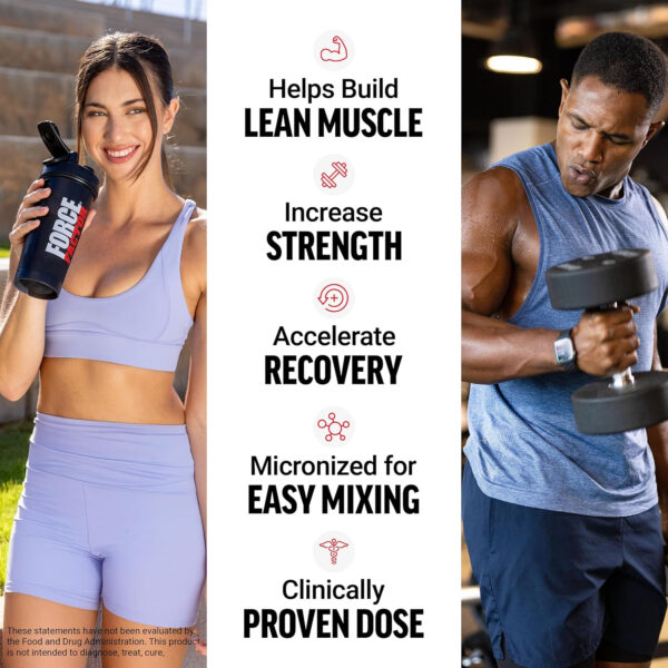 6895a8f5202b61d7f295f3c4e527894d7b51a2d39221a1e00155c.jpg FORCE FACTOR Creatine Monohydrate Powder, 5g Micronized Dose to Support Muscle Growth, Strength, Recovery, Cognitive Health & Memory, Unflavored, 100 Servings