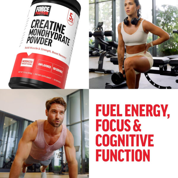 6895a8f6c71afa507db04d475235e6c175ed148bac0880cef43c0.jpg FORCE FACTOR Creatine Monohydrate Powder, 5g Micronized Dose to Support Muscle Growth, Strength, Recovery, Cognitive Health & Memory, Unflavored, 100 Servings