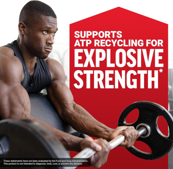 6895a8fc898094d7b4d24bc905215d57acb072fa4508ad2393a9d.jpg FORCE FACTOR Creatine Monohydrate Powder, 5g Micronized Dose to Support Muscle Growth, Strength, Recovery, Cognitive Health & Memory, Unflavored, 100 Servings