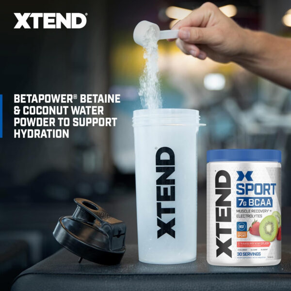 XTEND Sport BCAA Powder Blue Raspberry Ice - Electrolyte Powder for Recovery & Hydration with Amino Acids - 30 Servings