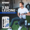Xtend XTEND Original BCAA Powder 7g BCAA and 2.5g L-Glutamine, Sugar Free Post Workout Muscle Recovery Drink with Amino Acids for Men & Women, 30 Servings
