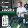 Xtend XTEND Original BCAA Powder 7g BCAA and 2.5g L-Glutamine, Sugar Free Post Workout Muscle Recovery Drink with Amino Acids for Men & Women, 30 Servings
