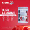 Xtend XTEND Original BCAA Powder 7g BCAA and 2.5g L-Glutamine, Sugar Free Post Workout Muscle Recovery Drink with Amino Acids for Men & Women, 30 Servings
