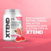 Xtend XTEND Original BCAA Powder 7g BCAA and 2.5g L-Glutamine, Sugar Free Post Workout Muscle Recovery Drink with Amino Acids for Men & Women, 30 Servings