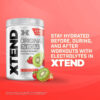 Xtend XTEND Original BCAA Powder 7g BCAA and 2.5g L-Glutamine, Sugar Free Post Workout Muscle Recovery Drink with Amino Acids for Men & Women, 30 Servings