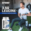Xtend XTEND Original BCAA Powder 7g BCAA and 2.5g L-Glutamine, Sugar Free Post Workout Muscle Recovery Drink with Amino Acids for Men & Women, 30 Servings