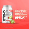 Xtend XTEND Original BCAA Powder 7g BCAA and 2.5g L-Glutamine, Sugar Free Post Workout Muscle Recovery Drink with Amino Acids for Men & Women, 30 Servings