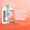 Xtend XTEND Original BCAA Powder 7g BCAA and 2.5g L-Glutamine, Sugar Free Post Workout Muscle Recovery Drink with Amino Acids for Men & Women, 30 Servings