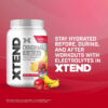 Xtend XTEND Original BCAA Powder 7g BCAA and 2.5g L-Glutamine, Sugar Free Post Workout Muscle Recovery Drink with Amino Acids for Men & Women, 30 Servings