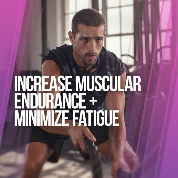 ALPHA LION Superhuman Intra Workout Powder for Men & Women, Amino Acids Drink, Muscle Recovery Supplement, BCAA Powder, Electrolytes & Hydration Mix (42 Servings, Watermelon Grape Candy Flavor)