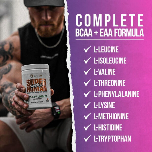 ALPHA LION Superhuman Intra Workout Powder for Men & Women, Amino Acids Drink, Muscle Recovery Supplement, BCAA Powder, Electrolytes & Hydration Mix (42 Servings, Watermelon Grape Candy Flavor)