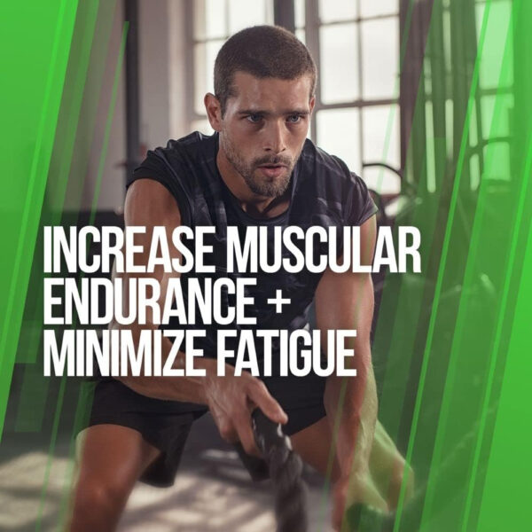 ALPHA LION Superhuman Intra Workout Powder for Men & Women, Amino Acids Drink, Muscle Recovery Supplement, BCAA Powder, Electrolytes & Hydration Mix (42 Servings, Watermelon Grape Candy Flavor)