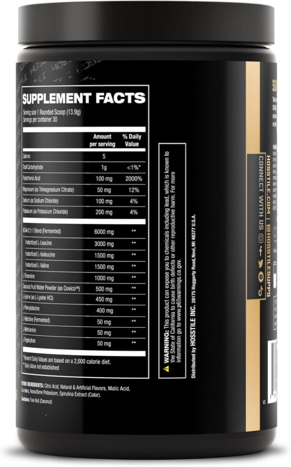 HOSSTILE SILO[9] Essential Amino Acids, EAA & BCAA Powder, Electrolyte Hydration Support, Enhance Muscle Recovery, Build Lean Muscle, Pre or Post Workout Drink, Blueberry Lemonade, 30 Servings
