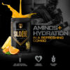 HOSSTILE SILO[9] Essential Amino Acids, EAA & BCAA Powder, Electrolyte Hydration Support, Enhance Muscle Recovery, Build Lean Muscle, Pre or Post Workout Drink, Blueberry Lemonade, 30 Servings