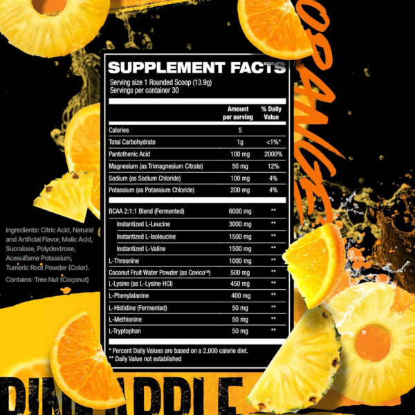 HOSSTILE SILO[9] Essential Amino Acids, EAA & BCAA Powder, Electrolyte Hydration Support, Enhance Muscle Recovery, Build Lean Muscle, Pre or Post Workout Drink, Blueberry Lemonade, 30 Servings