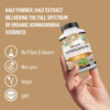 6895c65c60f20225438eda9b602fba5990bfbd75eae4d7a330d61.jpg Organic Ashwagandha 2,100 mg - 100 Veggie Capsules Pure Organic Ashwagandha Powder and Root Extract - Stress Relief, Mood Enhancer