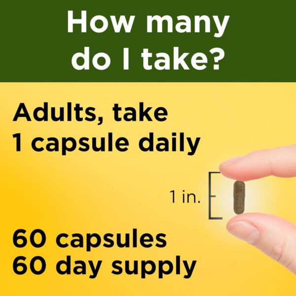 6895c699b98bf551da502c659e87234b363f1f91e6045aac4eb07.jpg Nature Made Ashwagandha Capsules 125mg for Stress Support, 60 Capsules, 60 Day Supply