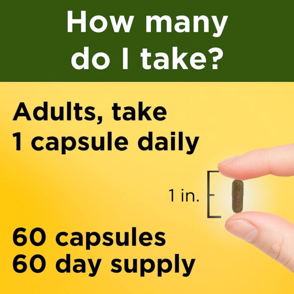 6895c6a51ca5233a675db29c8519d2fab3b6c00d1053cf5c2f3ee.jpg Nature Made Ashwagandha Capsules 125mg for Stress Support, 60 Capsules, 60 Day Supply