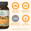 6895c75d3423fb295b10afb8983bacede1909529df083cd8c7f40.jpg ORGANIC INDIA Ashwagandha Capsules - Organic Ashwagandha Supplement - Vegan Ashwagandha Root, Gluten-Free, Kosher, Non-GMO, Supports Stress Relief, Energy, and Sleep - 60 Capsules