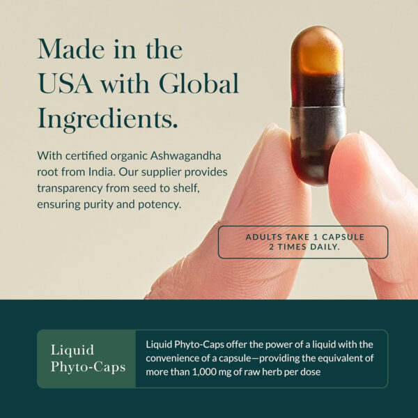 Gaia Herbs Ashwagandha Root - Made with Organic Ashwagandha Root to Help Support a Healthy Response to Stress, the Immune System, and Restful Sleep - 60 Vegan Liquid Phyto-Capsules (30-Day Supply)