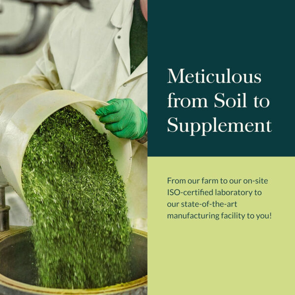 Gaia Herbs Ashwagandha Root - Made with Organic Ashwagandha Root to Help Support a Healthy Response to Stress, the Immune System, and Restful Sleep - 60 Vegan Liquid Phyto-Capsules (30-Day Supply)