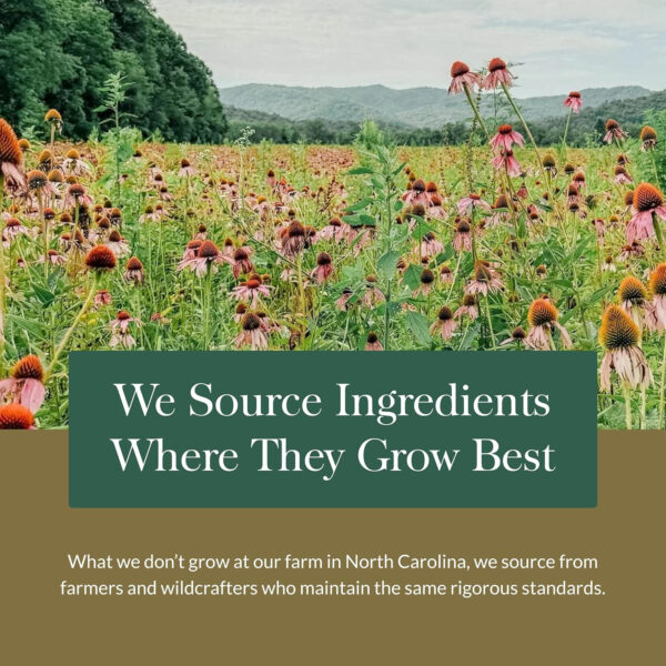 Gaia Herbs Ashwagandha Root - Made with Organic Ashwagandha Root to Help Support a Healthy Response to Stress, the Immune System, and Restful Sleep - 60 Vegan Liquid Phyto-Capsules (30-Day Supply)