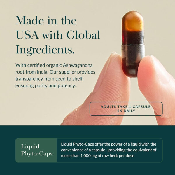 Gaia Herbs Ashwagandha Root - Made with Organic Ashwagandha Root to Help Support a Healthy Response to Stress, the Immune System, and Restful Sleep - 60 Vegan Liquid Phyto-Capsules (30-Day Supply)