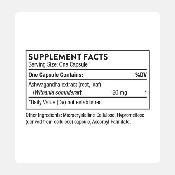 6895c9092c6de515beee72172f7790af79758ae18c01970dc70f2.jpg THORNE - Ashwagandha - Highly Concentrated Shoden - Calming Stress Support for Women & Men* - Supports Daytime Energy, Mental Clarity & Optimal Immune Function* - 30 Capsules