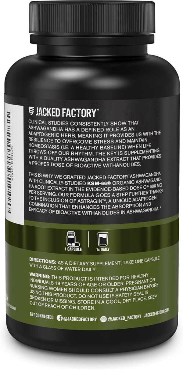 Jacked Factory Ashwagandha Root Extract (KSM-66 Ashwagandha) w/ 5% Withanolides - Supplement for Natural Stress Relief, Cognitive Function, Vitality, and Mood Support - 60 Veggie Capsules