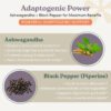 6895ca7c3c72aa645f1ab5752f019ba393e13913377b194b221a3.jpg Organic Ashwagandha Extra Strength Stress, Mood & Energy Support with Black Pepper, Additive Free - Non GMO, Vegan, Gluten Free, 60 Capsules