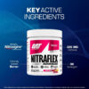 GAT SPORT Nitraflex Advanced Pre-Workout Powder, Increases Blood Flow, Boosts Strength and Energy, Improves Exercise Performance, Men & Women (Fruit Punch, 30 Servings)