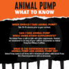 Animal Pump Pre-Workout Supplement – for Energy, Focus and Muscle Volumizing, with Nitric Oxide Boosters Including Stims and Nootropics, Creatine, and Ultimate Pump Enhancer, 30 Packs